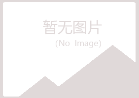 沙坡头区水香建设有限公司